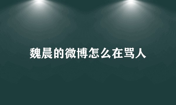 魏晨的微博怎么在骂人
