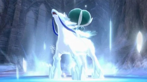 宝可梦剑盾冠之雪原流程详解