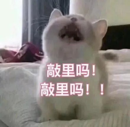 余文乐结婚了，作为粉丝你们怎么想？