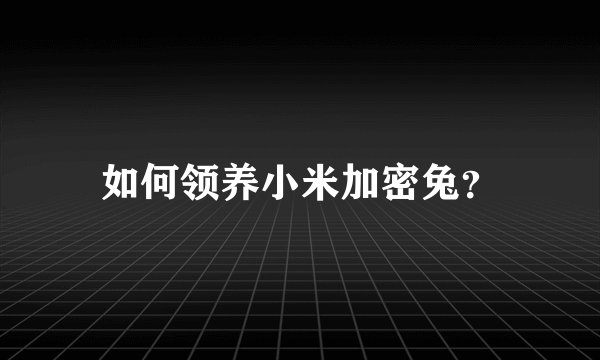 如何领养小米加密兔?