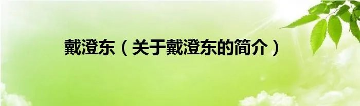 戴澄东（关于戴澄东的简介）