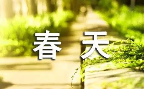 我眼里的春天作文