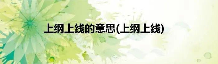 上纲上线的意思(上纲上线)