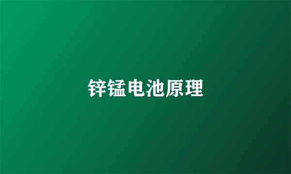 锌锰电池原理