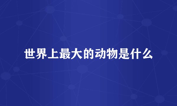 世界上最大的动物是什么