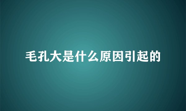 毛孔大是什么原因引起的