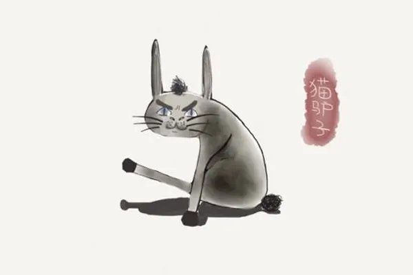 东北四大神兽：东北四大神兽和八大犊子萌萌哒