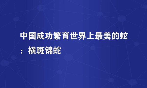 中国成功繁育世界上最美的蛇：横斑锦蛇