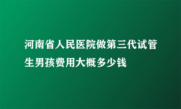 河南省人民医院做第三代试管生男孩费用大概多少钱