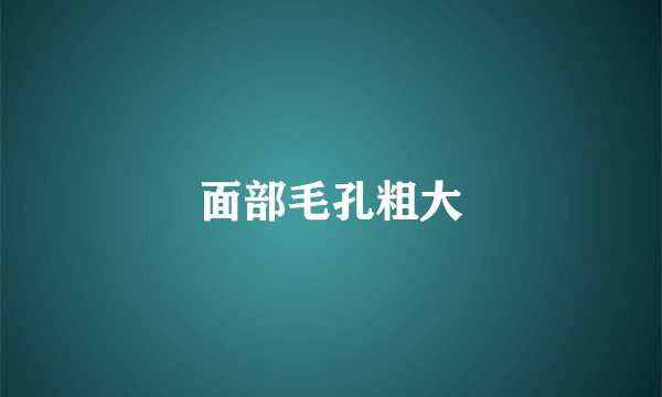 面部毛孔粗大
