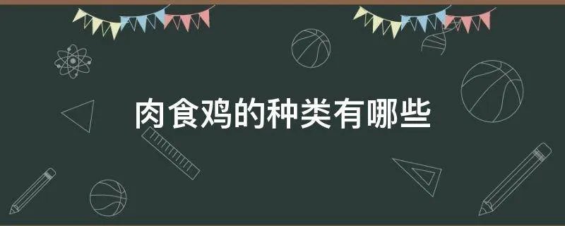 肉食鸡的种类有哪些