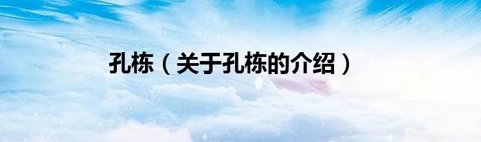 孔栋（关于孔栋的介绍）