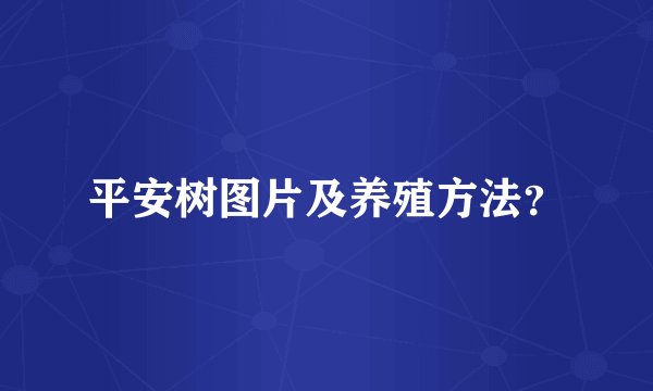 平安树图片及养殖方法？