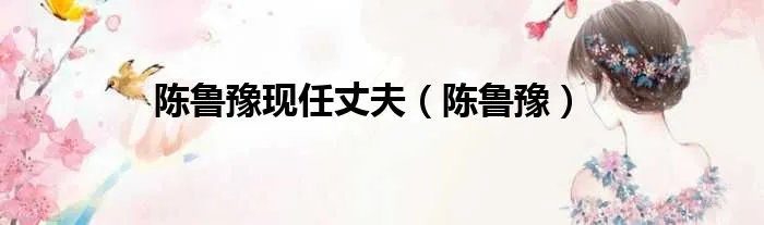 陈鲁豫现任丈夫（陈鲁豫）