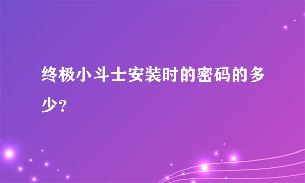 终极小斗士安装时的密码的多少?
