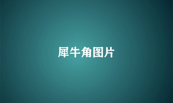 犀牛角图片