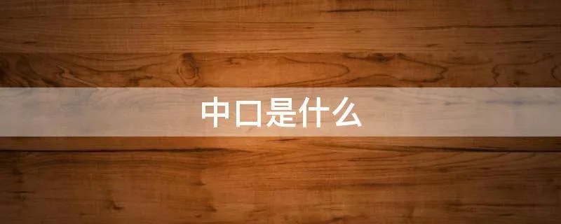 中口是什么