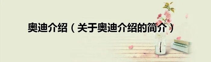 奥迪介绍（关于奥迪介绍的简介）