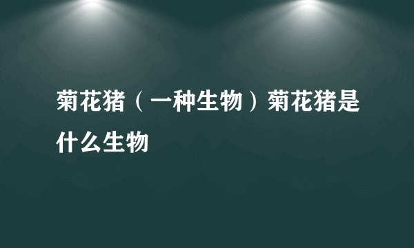 菊花猪（一种生物）菊花猪是什么生物
