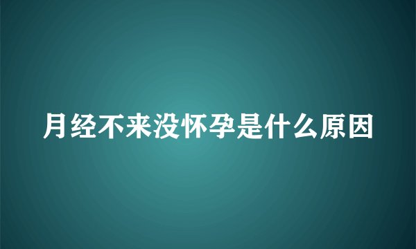 月经不来没怀孕是什么原因