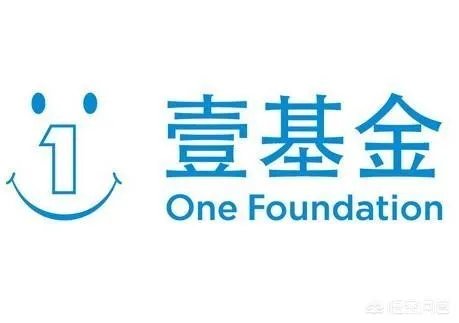 类似红十字会的捐款平台