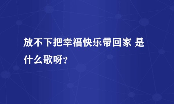 放不下把幸福快乐带回家 是什么歌呀？