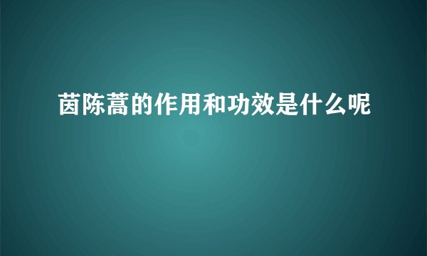 茵陈蒿的作用和功效是什么呢
