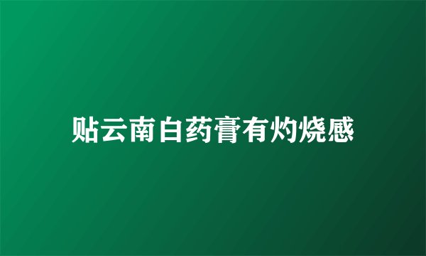 贴云南白药膏有灼烧感