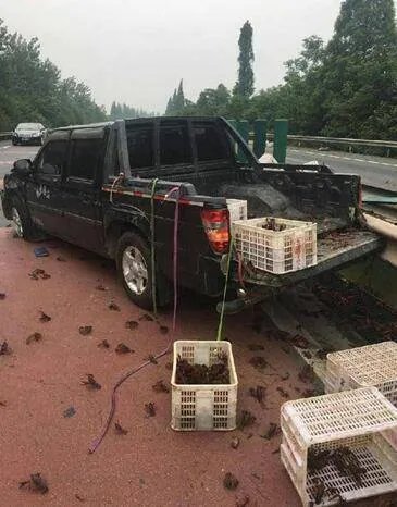 湖北何处被称为小龙虾百慕大?
