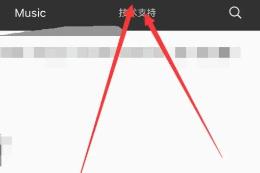 进入iphone官网怎么查序列号?