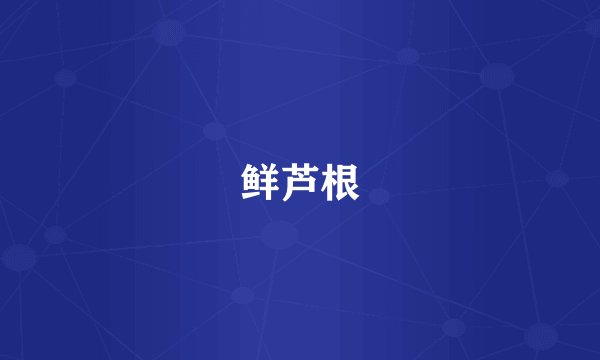 鲜芦根