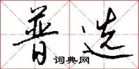 普选