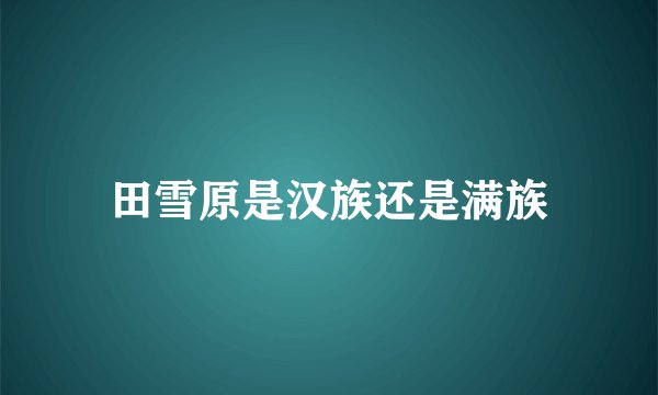 田雪原是汉族还是满族