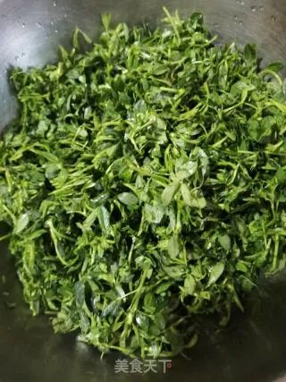 苜蓿菜