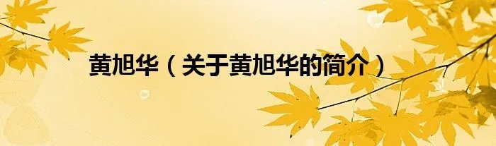 黄旭华(关于黄旭华的简介)