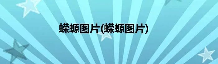 蝾螈图片(蝾螈图片)
