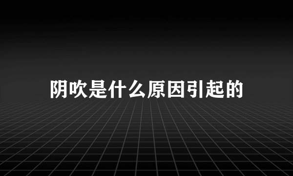 阴吹是什么原因引起的
