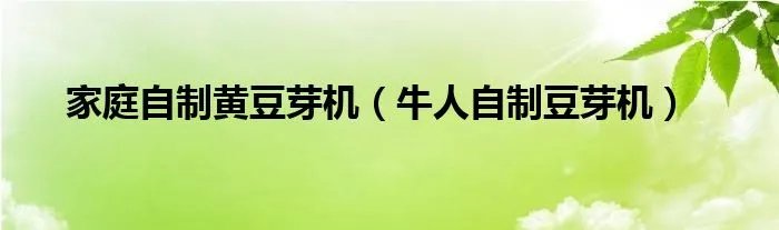 家庭自制黄豆芽机（牛人自制豆芽机）