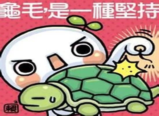 “龟毛”是什么意思?
