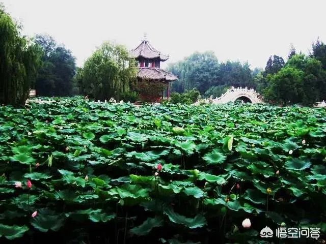 保定为什么被称作京畿之地?