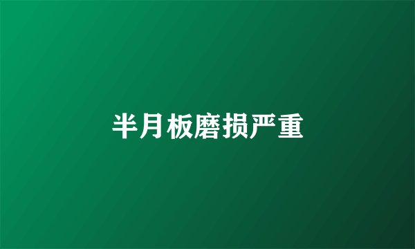 半月板磨损严重