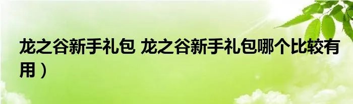 龙之谷新手礼包 龙之谷新手礼包哪个比较有用)