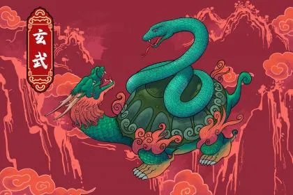 梦见乌龟