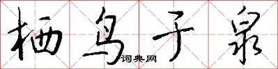 栖鸟于泉