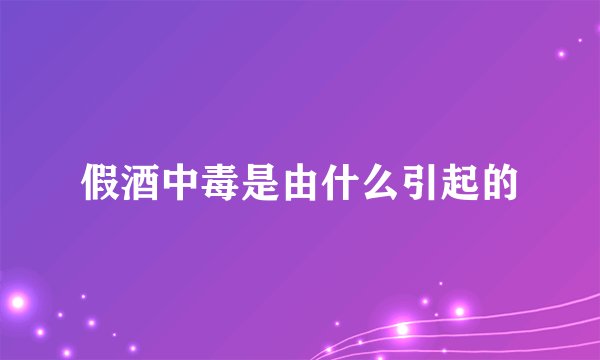 假酒中毒是由什么引起的
