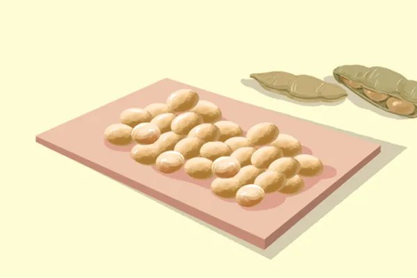 低糖主食有哪些
