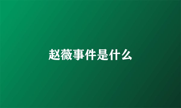 赵薇事件是什么