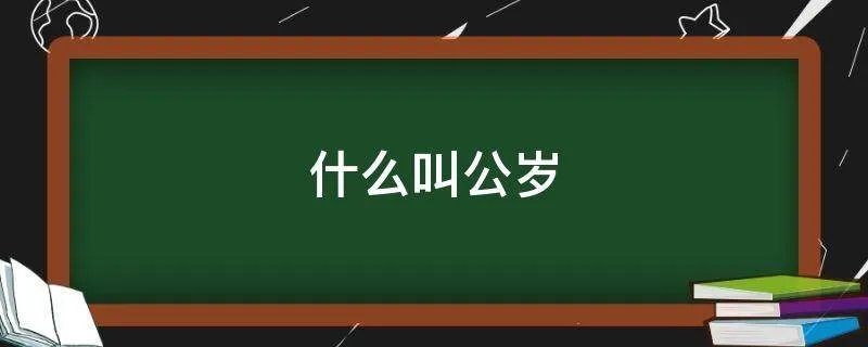 什么叫公岁