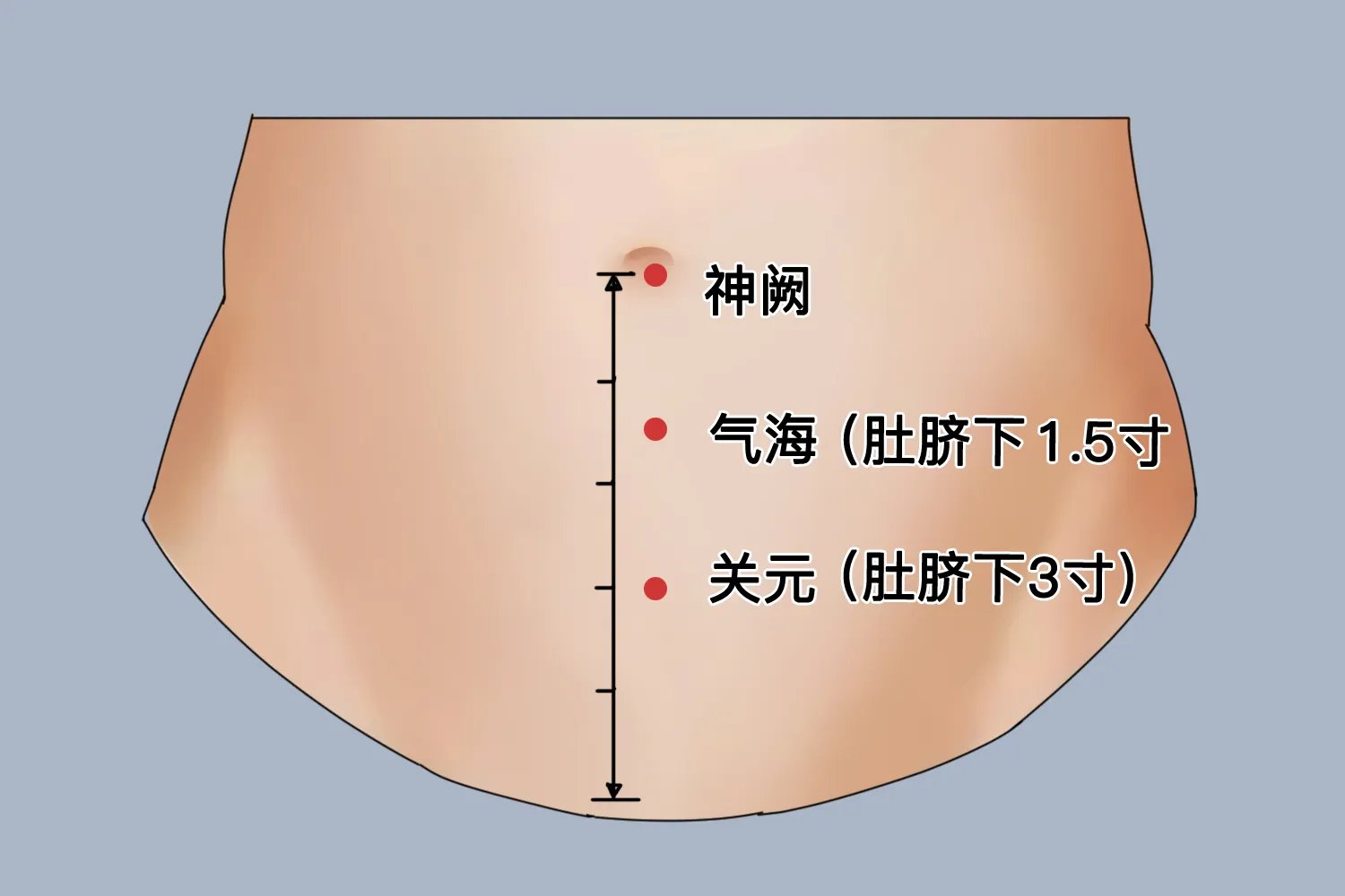 女性关元的准确位置图