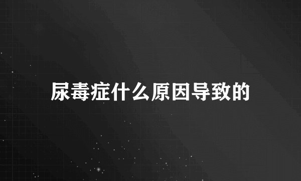 尿毒症什么原因导致的